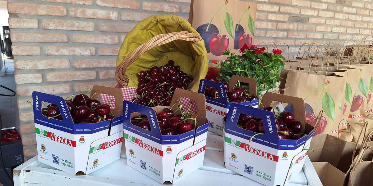 Cherry Day, Vignola sorride: per la ciliegia è una stagione da incorniciare
